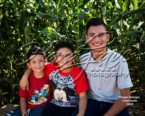Velasquez 07-150-A