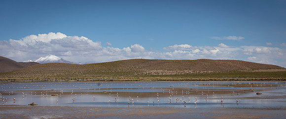 Eduardo Avaroa National Reserve 20230220 1982