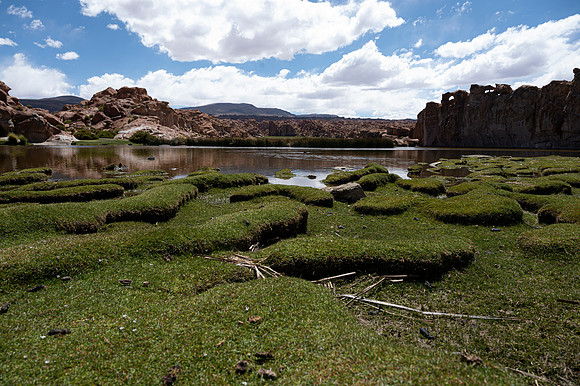 Eduardo Avaroa National Reserve 20230220 2013