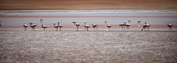 Eduardo Avaroa National Reserve 20230221 2131