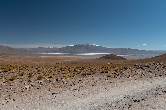 Eduardo Avaroa National Reserve 20230221 2187