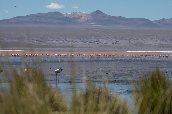 Eduardo Avaroa National Reserve 20230221 2178