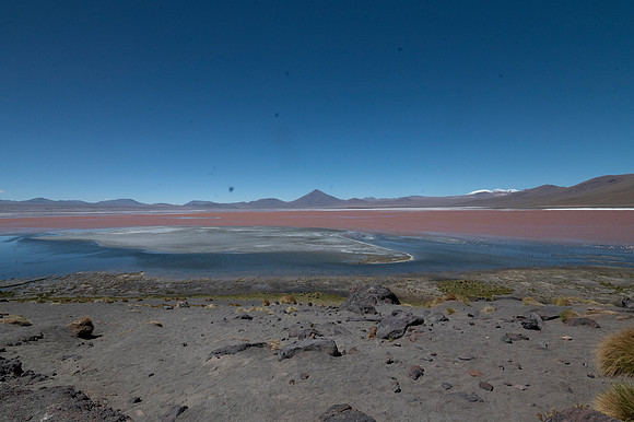 Eduardo Avaroa National Reserve 20230221 2182