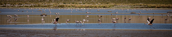 Eduardo Avaroa National Reserve 20230220 1976
