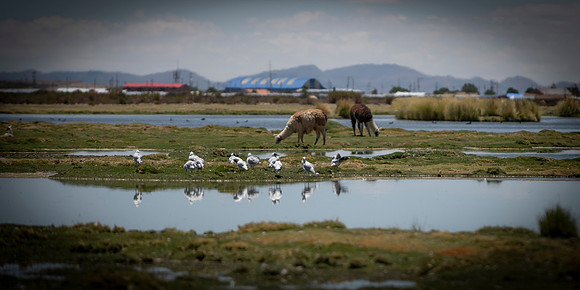 Eduardo Avaroa National Reserve 20230220 2039