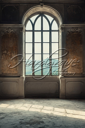 BG_Castle_rectangle009