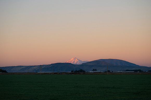 _DSC7102