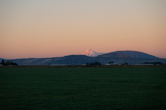 _DSC7103