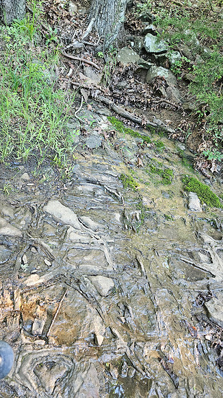 Devil's Den Yellow Rock 20250513 078