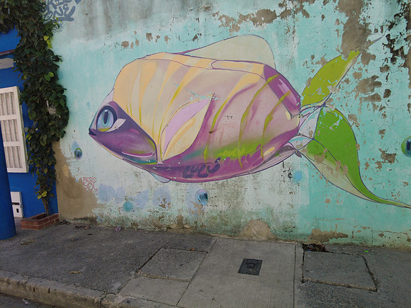 Cartagena 20230729 2498