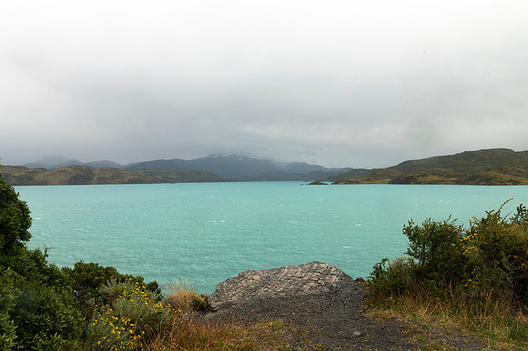 Torres de Paine 20240130 380