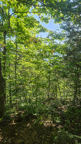 Devil's Den Yellow Rock 20250513 073