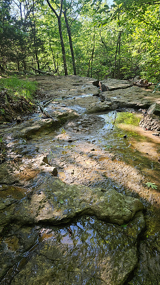 Devil's Den Yellow Rock 20250513 052