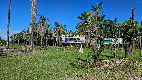 Armenia Honduras 20260124 714