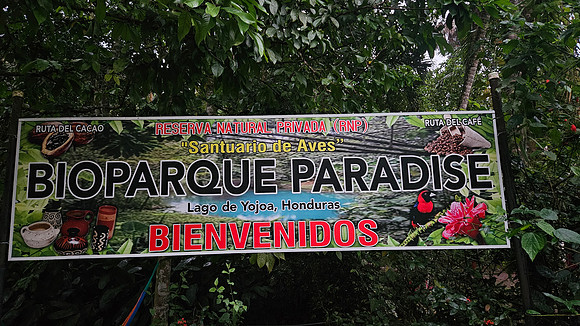Bioparqe Paradise Honduras 20260121 941