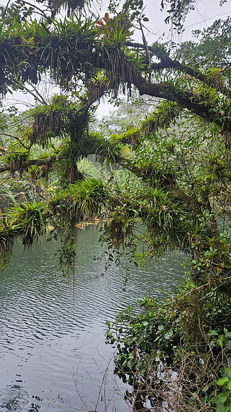 Bioparqe Paradise Honduras 20260121 945