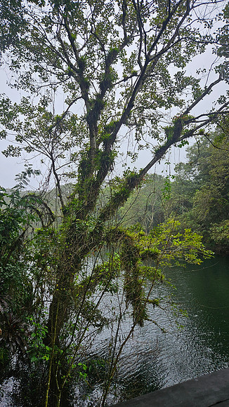 Bioparqe Paradise Honduras 20260121 944