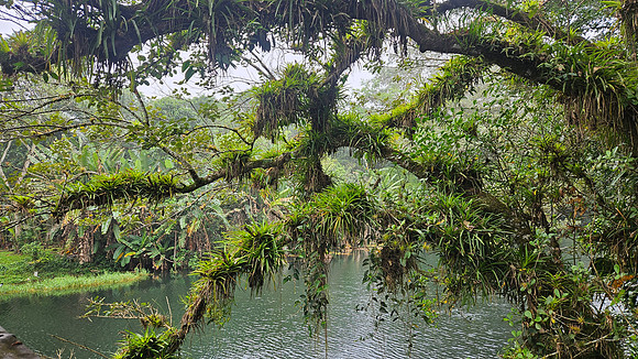 Bioparqe Paradise Honduras 20260121 946
