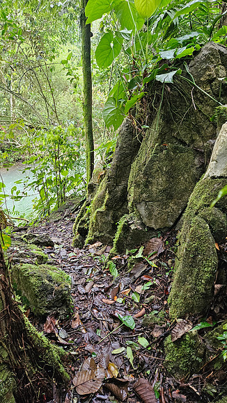 Bioparqe Paradise Honduras 20260121 947