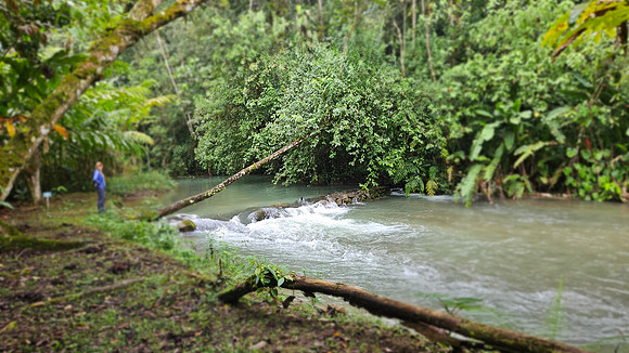 Bioparqe Paradise Honduras 20260121 953