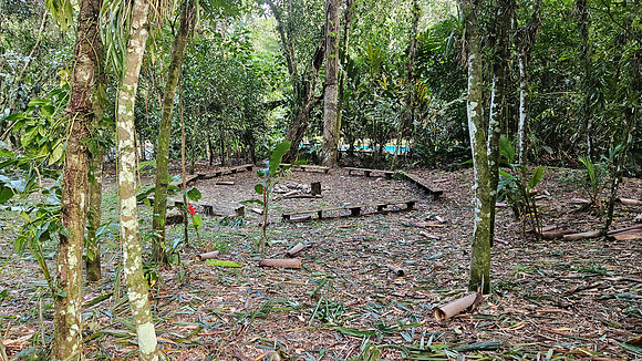 Bioparqe Paradise Honduras 20260121 972