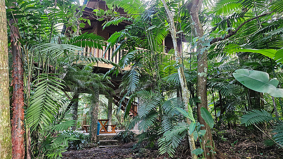 Bioparqe Paradise Honduras 20260121 975
