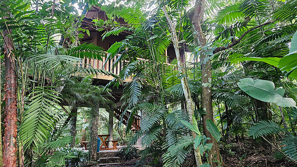 Bioparqe Paradise Honduras 20260121 976