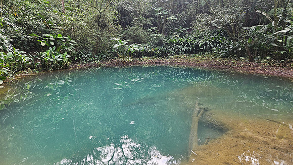 Bioparqe Paradise Honduras 20260121 978