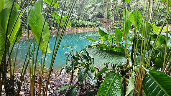 Bioparqe Paradise Honduras 20260121 984