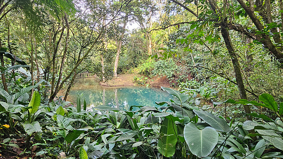 Bioparqe Paradise Honduras 20260121 985