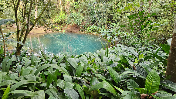 Bioparqe Paradise Honduras 20260121 986