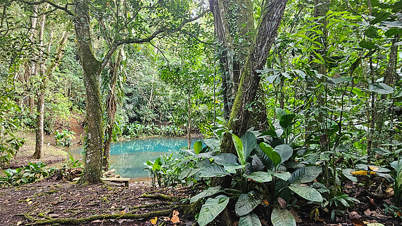 Bioparqe Paradise Honduras 20260121 987