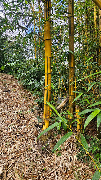 Bioparqe Paradise Honduras 20260121 990