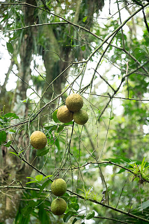 Bioparque Paradise 20260122 045