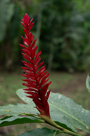 Bioparque Paradise 20260122 049