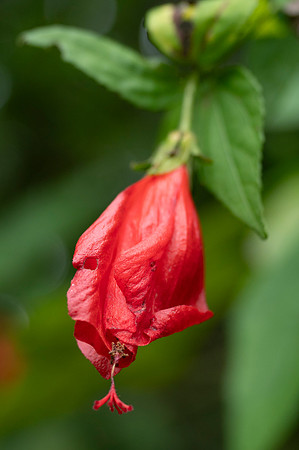 Bioparque Paradise 20260122 053