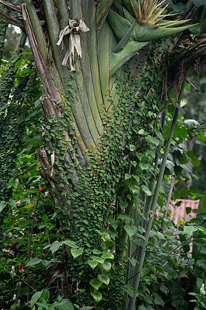 Bioparque Paradise 20260122 060