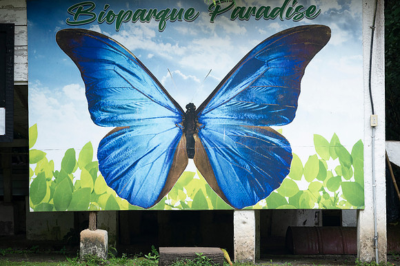 Bioparque Paradise 20260122 061