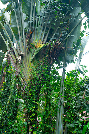 Bioparque Paradise 20260122 063