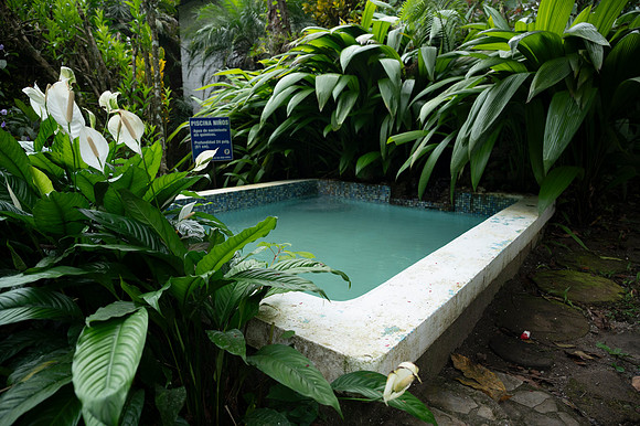 Bioparque Paradise 20260122 066