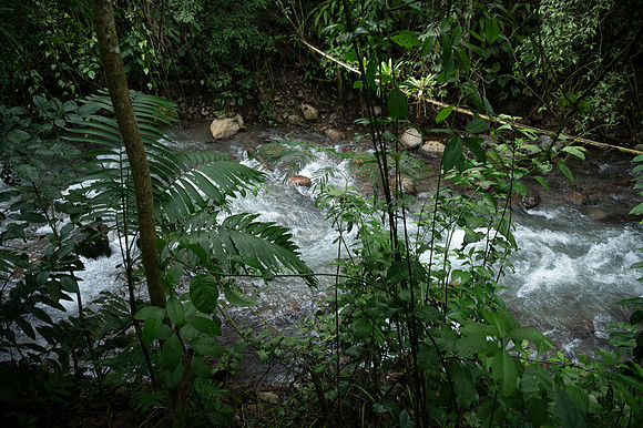 Bioparque Paradise 20260122 067