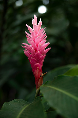 Bioparque Paradise 20260122 068