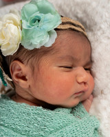 In YOUR Home Newborns