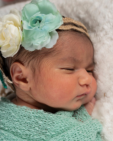 In YOUR Home Newborns