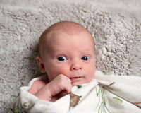 In YOUR Home Newborns