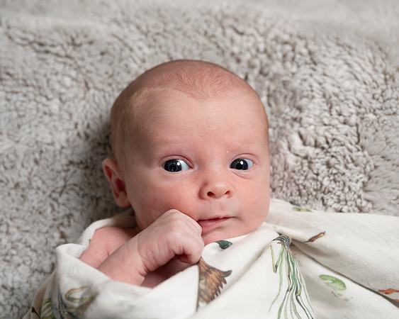In YOUR Home Newborns