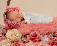Hardgrave Photography