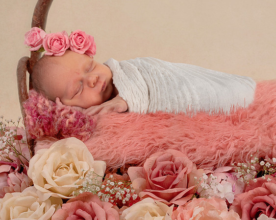 Hardgrave Photography