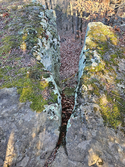 Bayyari Park 20260112 976
