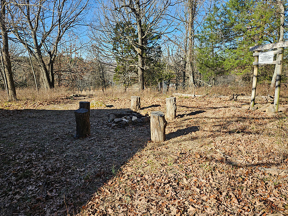 Bayyari Park 20260112 979